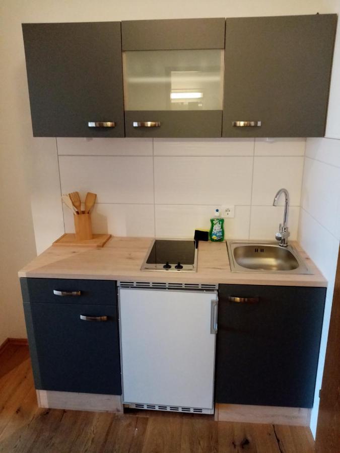 Apartment Diana Bad Goisern Εξωτερικό φωτογραφία