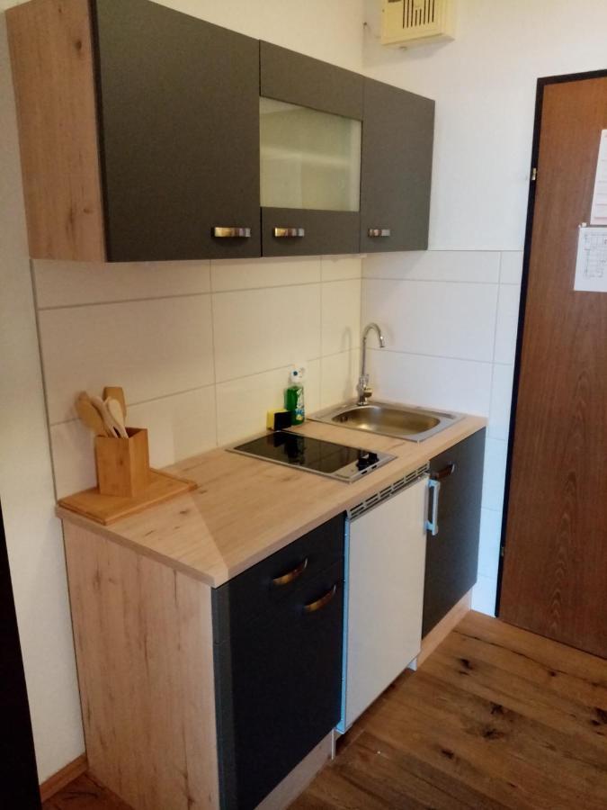 Apartment Diana Bad Goisern Εξωτερικό φωτογραφία